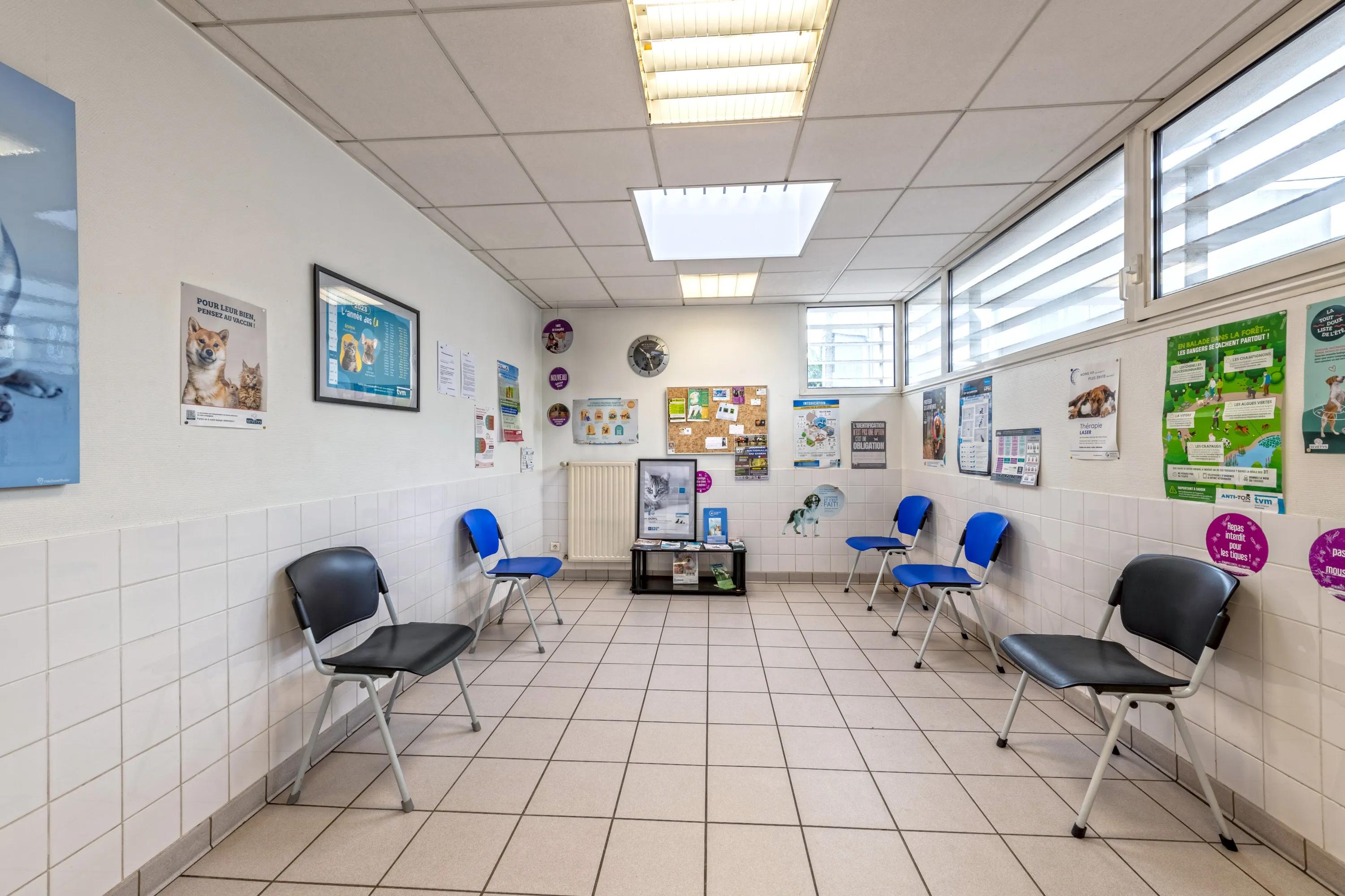 Photo Clinique Vétérinaire Pont-Neuf - Brest - 3
