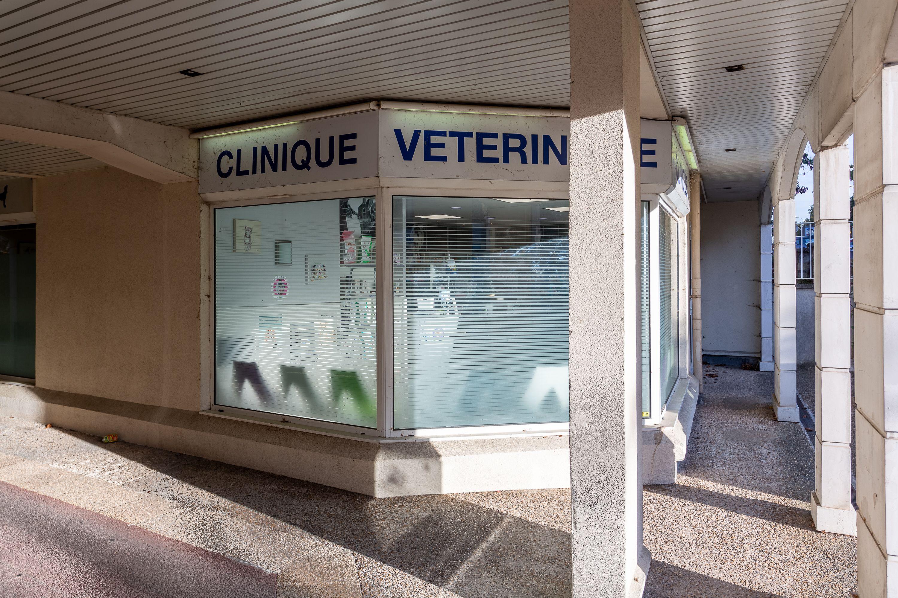 image de Clinique vétérinaire de la Vallée - Ermont