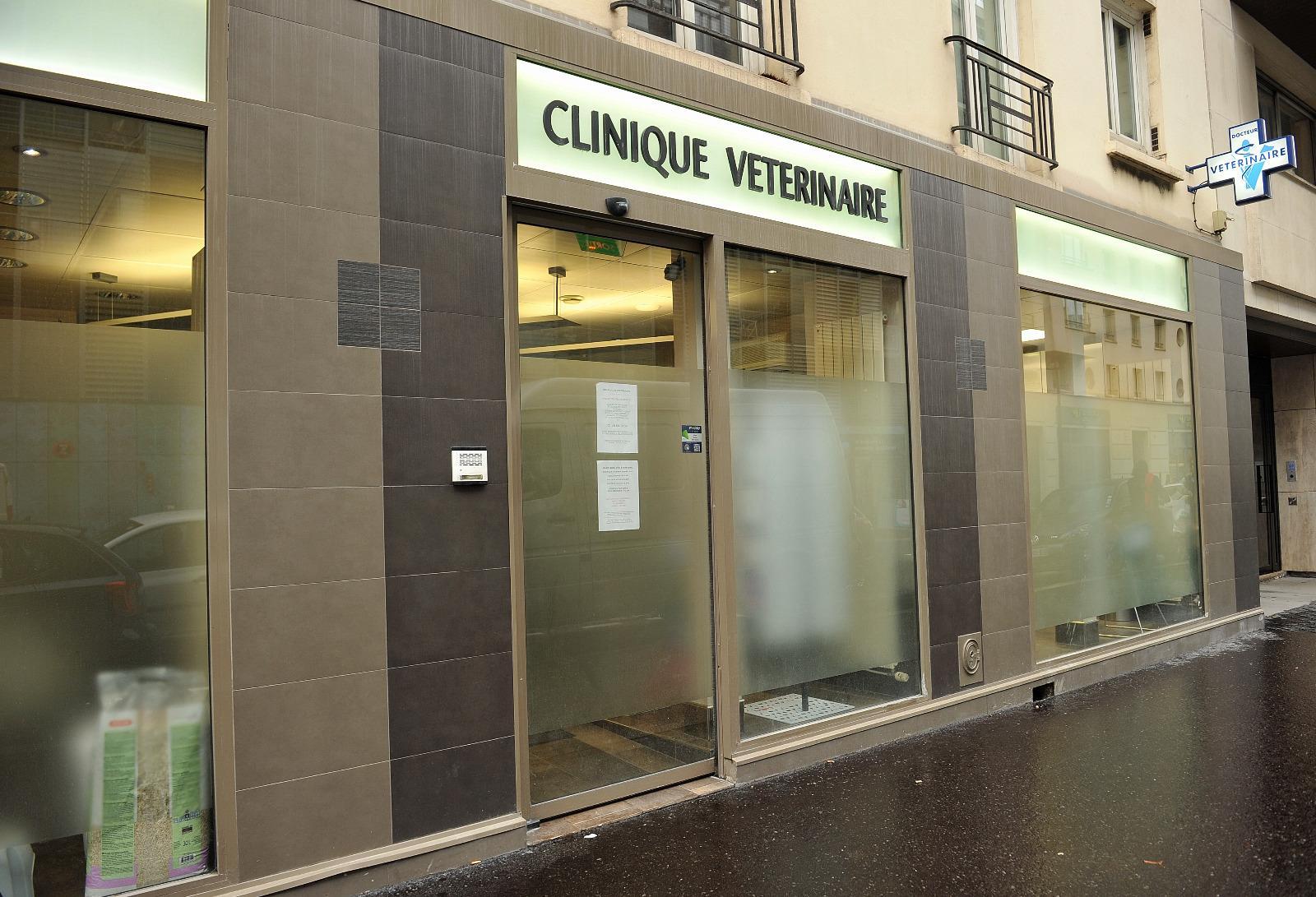image de Clinique vétérinaire Paris 15 - Frémicourt