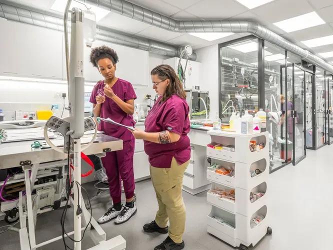 hospitalisation et soins intensifs vétérinaires