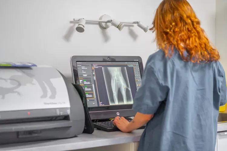Orthopédie vétérinaire